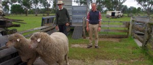 Bairnsdale Field Day 2015 Tim & John Buxton