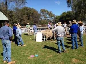 Ram Select day 2015 Macquarie (2)